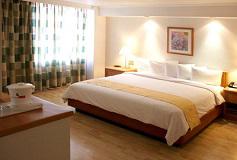 Habitación Super Saver 1 Cama King  No Reembolsable del Hotel Hotel PF