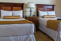 Habitación Elite Garden View Doble del Hotel Hotel Pierre Mundo Imperial Riviera Diamante Acapulco