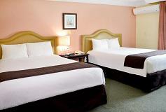 Habitación Estándar Dos Camas Matrimoniales del Hotel Hotel Plaza Camelinas