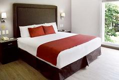 Habitación Estándar Una Cama King del Hotel Hotel Plaza Camelinas