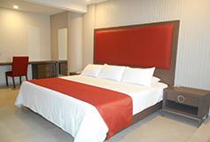 Habitación Estándar del Hotel Hotel Puente Real