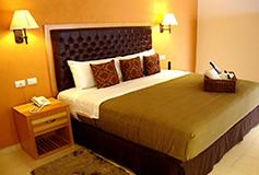 Habitación Estándar Queen del Hotel Hotel Río Querétaro