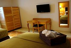 Habitación Estándar Una Cama del Hotel Hotel Río Querétaro