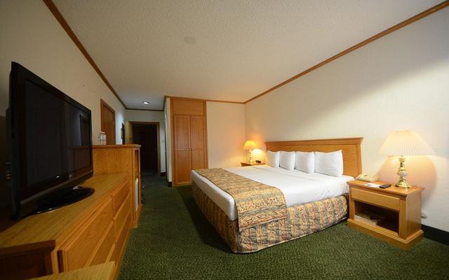 Habitación Estándar Sencilla del Hotel Hotel Sicomoro Chihuahua