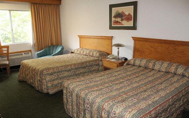 Habitación Estándar del Hotel Hotel Sicomoro Chihuahua