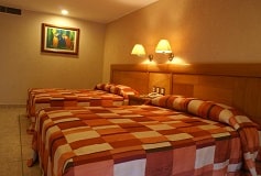 Habitación Estándar del Hotel Hotel Tortuga Express