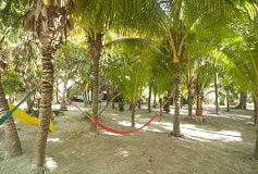 Habitación Búngalo del Hotel Hotel Zomay