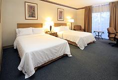 Habitación Dos Camas Matrimoniales No Fumadores del Hotel iStay Hotel Ciudad Victoria