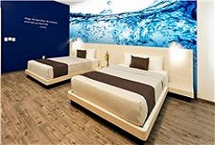 Habitación Estándar Doble del Hotel Life Hotel