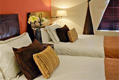 Habitación Tequilana del Hotel Hotel Villa Tequila