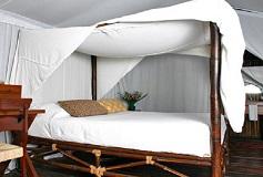 Habitación Suite del Hotel Hotel México Verde