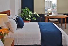 Habitación Estándar No Reembolsable del Hotel Hotel Misión Guadalajara Carlton