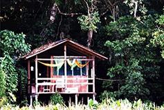 Habitación Doble del Hotel Nanciyaga Reserva Ecológica