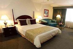 Habitación Deluxe Una Cama Queen del Hotel Pedregal Palace