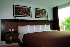 Habitación Habitación Deluxe Una Cama King del Hotel Hotel & Suites PF