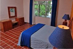 Habitación Junior Suite del Hotel Posada Quinta Las Flores