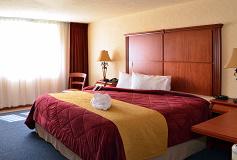 Habitación Estándar con Cama King del Hotel Hotel Quinta Del Rey Express