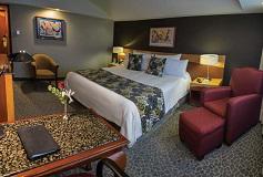 Habitación Estándar Una Cama del Hotel Hotel Courtyard Mexico City Revolución