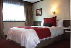 Habitación Estándar Una Cama del Hotel Ramada Reforma