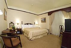 Habitación King Jardín Doble del Hotel Safi Royal Luxury Towers