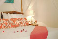 Habitación Suite Palapa del Hotel Toto Blue Hotel Boutique