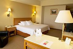 Habitación Estándar King No Reembolsable del Hotel Turotel Morelia