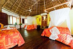 Habitación Búngalo Frente a la Playa del Hotel Villas Delfines