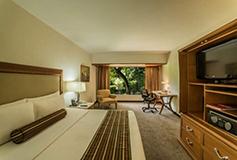 Habitación Estándar No Fumar del Hotel Hotel Wyndham Garden Guadalajara Expo