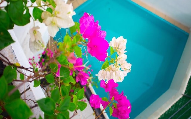 Hotel Amakal en Huatulco Centro